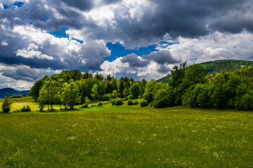 Rural Landscape With Forest And Flower Meadow At Cloudy Weather In Austria