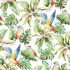 Tropical pattern with birds - 357680427