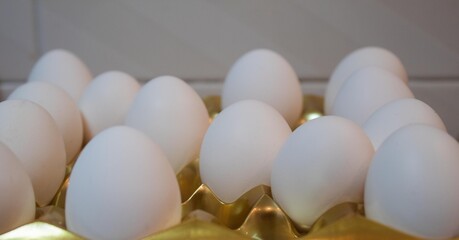 white hen's eggs as if they were chocolates