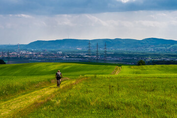 Fototapeta na wymiar Man Rides Mountainbike In Rural Landscape In Front Of Skyline Of Vienna In Austria