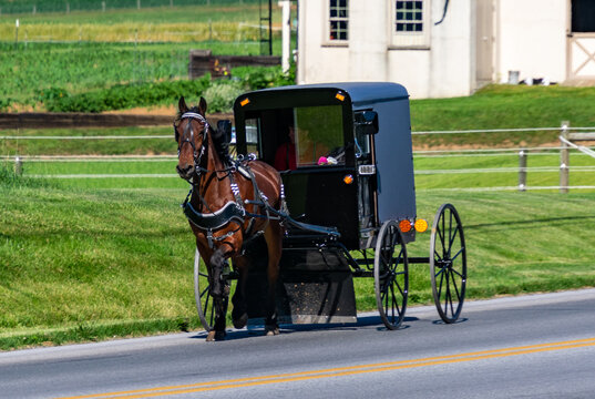 Amish Horse and Buggy in Lancaster Pennsylvania