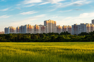 Fototapeta na wymiar Large new residential area in an ecologically clean place of the city. A green field of wheat in the foreground, blurry.