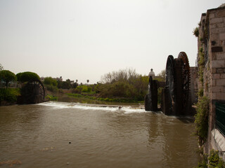 Historic Water Wheels on Orontes River, Hama, Syria