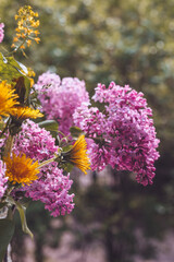 pink and yellow flowers