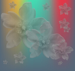 delicate and romantic flowers on colorful background