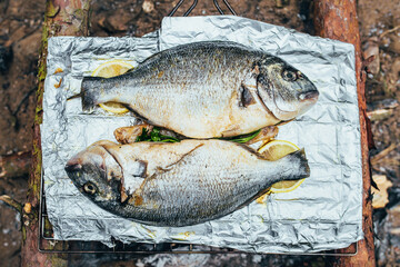 Dorado fish in parsley and lemon oil on a grill in a foil before frying on a barbecue grill