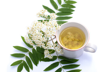 Rowan flower tea cup isolated on a white background