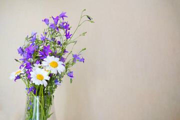 bouquet of wildflowers in a vase. A bouquet of bells and chamomiles. Purple and white flower.