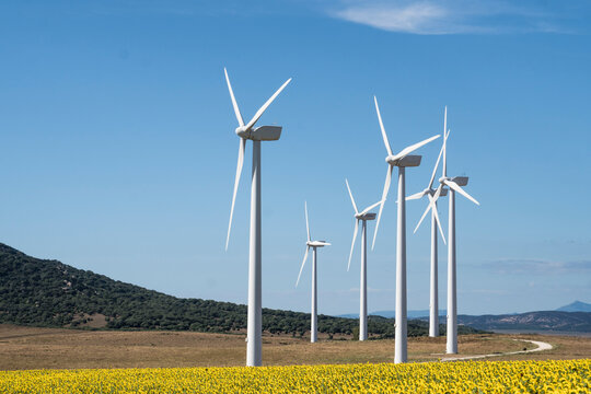 Molinos de viento sobre campo de girasoles