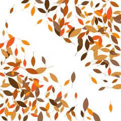 Leaves. Throw autumn leaves. Unusual abstract texture. Vector eps 10.
