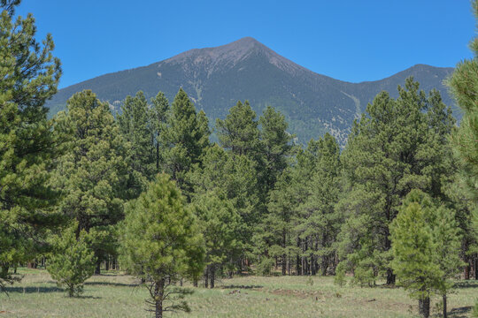The view of Mount Humphreys and its Agassiz Peak. One of the San Francisco Peaks in the Arizona Pine Forest. Near Flagstaff, Coconino County, Arizona USA