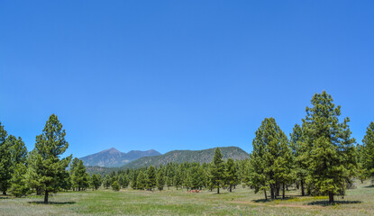 The view of Mount Humphreys and its Agassiz Peak. One of the San Francisco Peaks in the Arizona Pine Forest. Near Flagstaff, Coconino County, Arizona USA