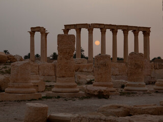 Fototapeta premium Sun rises between the stone pillars at the ancient city of Palmyra, Syria