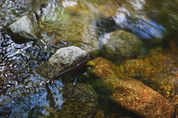 Clear mountain water with stones and reflections. Selective approach