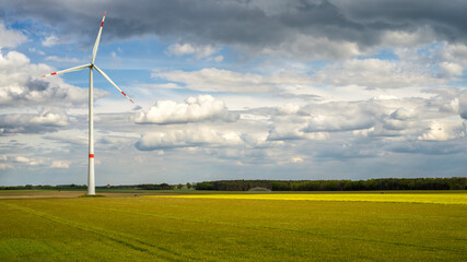 Ein einzelnes Windkraftrad auf einem Rapsfeld vor dramatisch bewölktem Himmel