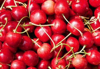 Ripe red tasty cherry close-up. Berry background