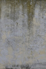 Muro muffa verticale