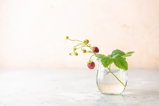 Branch of wild raw ripe strawberries with flowers and leaves in glass jar on light pink surface.