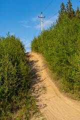 road bush sand 