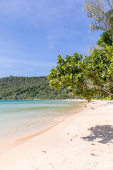 Lazy beach, koh rong samloem island, Sihanoukville, Cambodia.