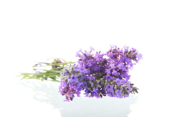 Bouquet Purple Lavender