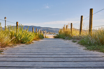 Wooden path between vegetation on a beach.