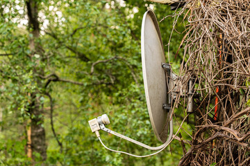 satellite dish forest fence