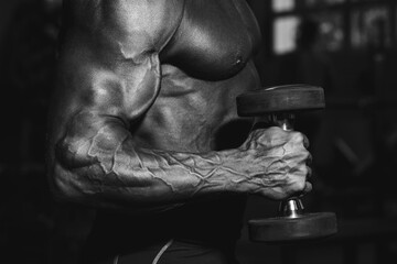Man in gym. Muscular bodybuilder guy doing exercises with dumbbell. Strong person with Tense male hand with veins barbell. Modern journal toning.