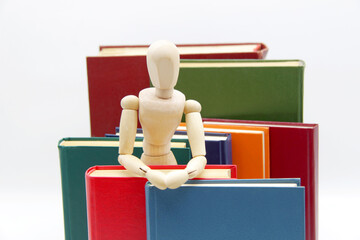 A bookstore or library.Dictionary, encyclopedia library, or web archive. A book lover, a librarian, a bookstore clerk, a wooden mannequin doll between stacks of giant books.