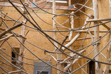Room with ropes for monkeys.