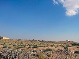 View of the village in summer