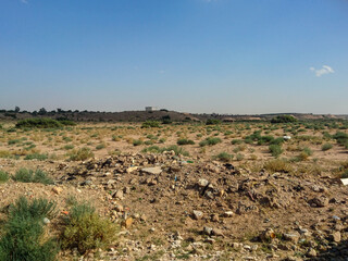 Plowed field in spring