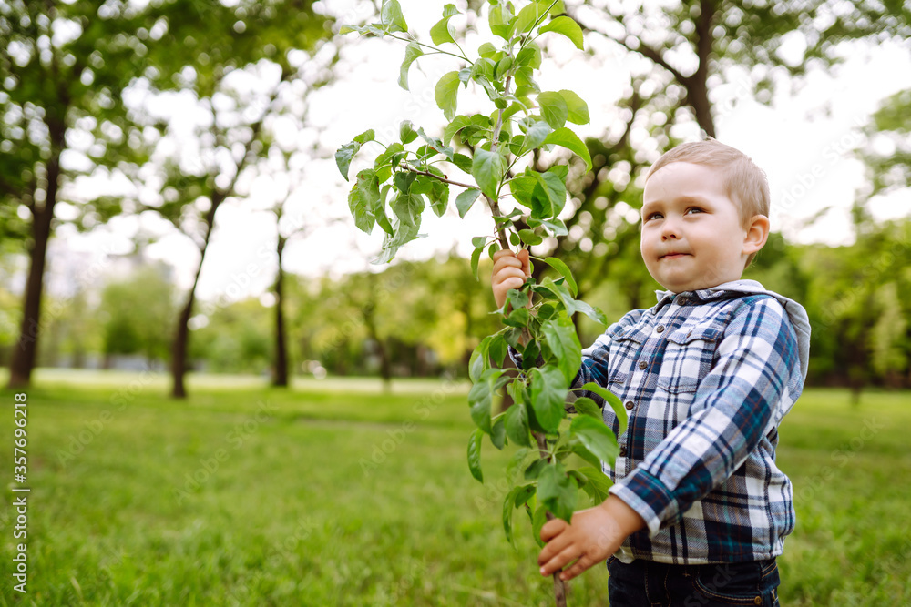 Wall mural Little child  plants young tree. Fun little gardener. Spring concept, nature and care.