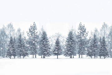  Frozen winter forest with snow covered trees.