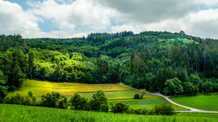 Naklejka premium landscape in the summer. Agricultural field, trees, roads, sky and clouds in Switzerland..