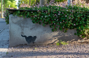AMSTERDAM, THE NETHERLANDS - JUNE 8, 2020: Street art of a black cat marking its territory on a plant border in city park " het westerpark" framed with love pink flowers