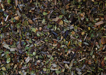 Close up view of dried oregano texture