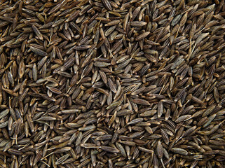 Close-up view of cumin seed texture
