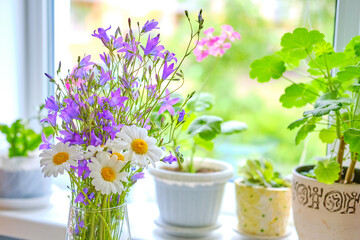 spring flowers in a pot on the table. A windowsill with flowers. A bell and a lobster in a vase.