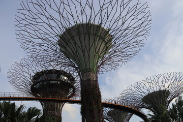 Arbres artificiels, jardins de la Baie à Singapour	