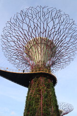 Arbre artificiel, jardins de la Baie à Singapour
