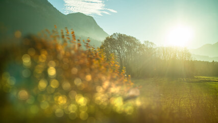 Creative landscape with blurred forefront on a sunny sky background, Austria.