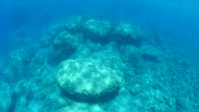  sun reflections underwater ocean scenery holidays shallow water shining stones