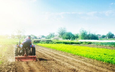 Obraz premium A farmer on a tractor cultivates a field before a new planting. Soil milling, crumbling and mixing. Loosening the surface, cultivating land for further planting. Agroindustry, farming. Growing food