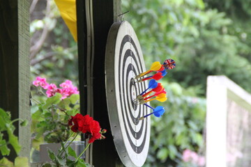 dzialka zabawa strzałki kolory tablica rzutki  © AMTM