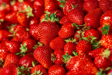 A lot of ripe strawberries closeup, background, texture