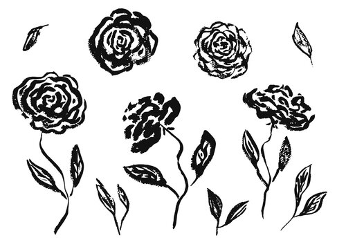 Set of hand drawn chinese black ink rose or peony flowers and leaves. Sketch vector inky floral blossoms and grass elements texture for pattern design, greeting card decoration, logo