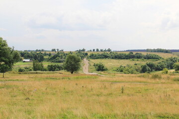 Fototapeta na wymiar Rural landscape of the Central European part of Russia. A dirt road that goes over the horizon