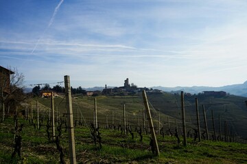 Langhe vineyard in winter near Serralunga d'Alba, Piedmont - Italy
