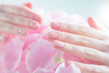 Manicure, beauty nails. Beautiful Woman's hands, Spa and Manicure concept. Female hands with beautiful natural pink french elegant manicure. Soft skin, skincare concept. Salon. Treatment